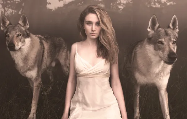 Картинка девушка, волк, мы стая