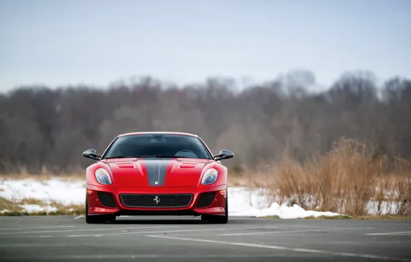 Картинка Ferrari, 599, front, Ferrari 599 GTO