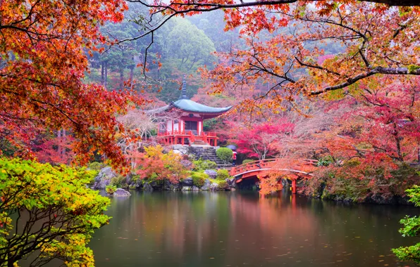 Картинка осень, листья, деревья, ветки, мост, пруд, парк, камни