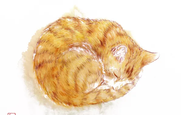 Кошка, спит, полосатая