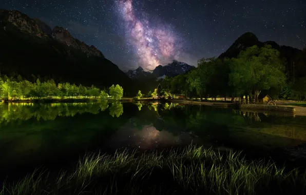 Трава, звезды, деревья, горы, ночь, природа, отражение, берег