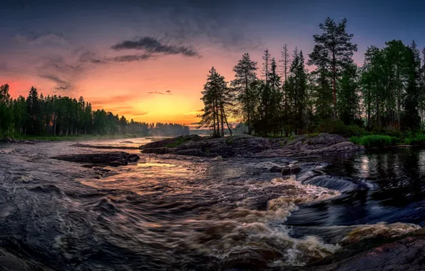 Картинка лес, закат, река