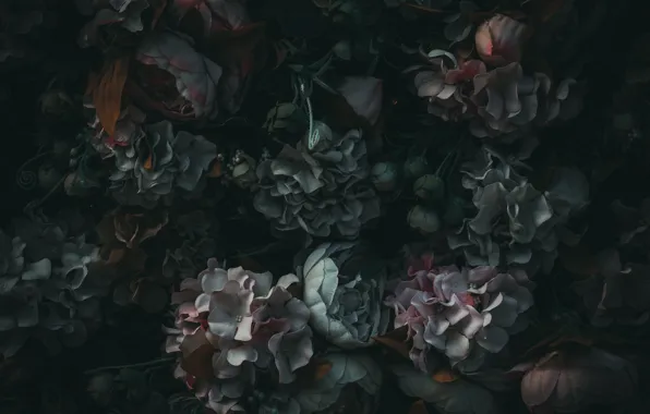Simple, wallpaper, Flower, flowers, pattern, backgroud, plants and flowers, awesome flowers