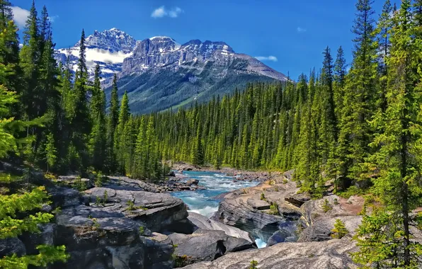 Лес, деревья, горы, река, скалы, Канада, Альберта, Alberta