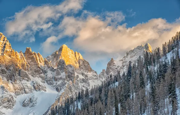 Картинка лес, небо, облака, снег, горы, вершины, Италия, Italy