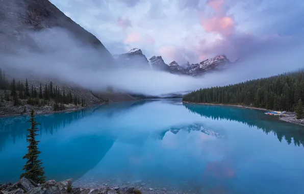 Картинка лес, облака, природа, туман, озеро, утро, Канада, Скалистые горы