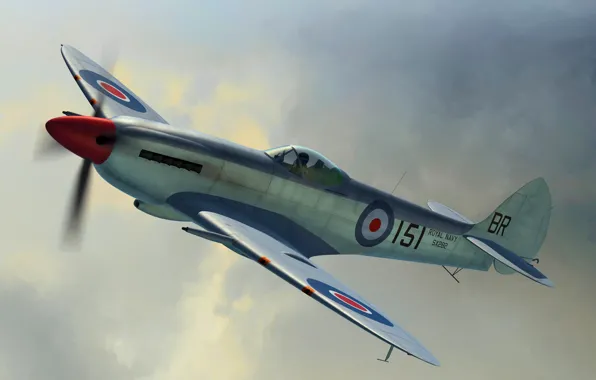 Истребитель, Великобритания, Supermarine Seafire, Палубный истребитель, Seafire Mk.XVII