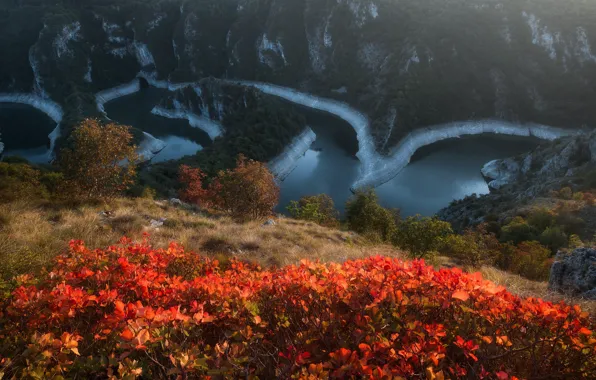 Осень, пейзаж, горы, природа, река, растительность, Сербия, Национальный парк