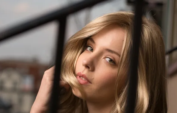 Картинка взгляд, девушка, портрет, Estetica