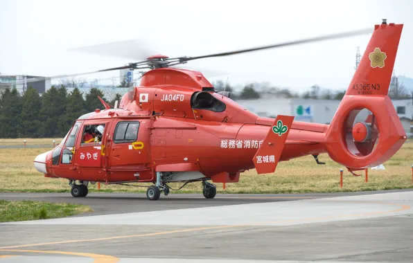 Eurocopter, многоцелевой вертолёт, AS365N3, Dauphin 2