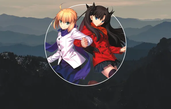 Девушка, Рин, Артурия, сейбер, Судьба ночь схватки, Fate / Stay Night