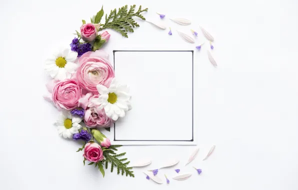 Цветы, розы, лепестки, Rose, flowers, декор, Leaves, frame