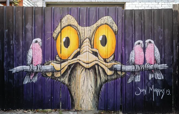 Картинка Graffiti, Melbourne, Street Art