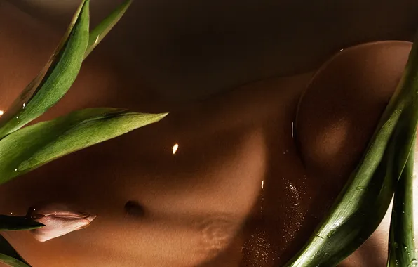 Девушка, цветы, тело, живот, photographer, Yura Pechen