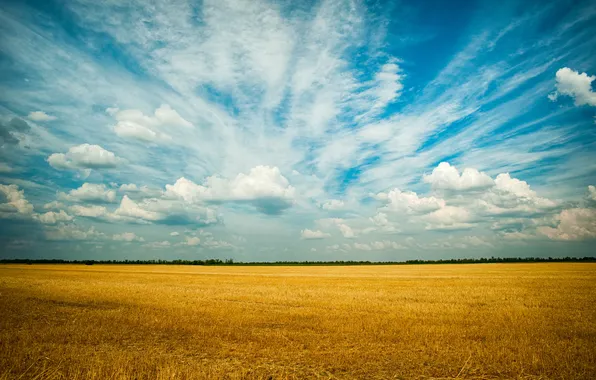 Картинка поле, небо, облака, пейзаж, природа, горизонт, sky, field