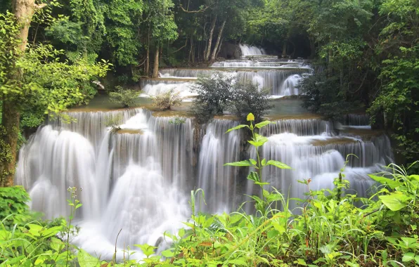 Картинка лес, деревья, река, камни, водопад, поток, джунгли, Thailand