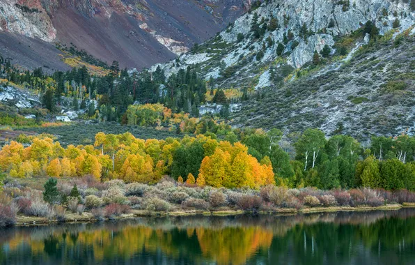 Картинка осень, деревья, горы, озеро, склон