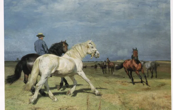 Картинка поле, лошади, мужчина в шляпе, FISCHER