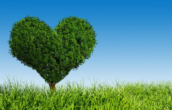 Любовь, дерево, green, сердце, love, field, heart, tree