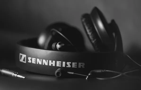 Картинка наушники, черно белое, Hi-Tech, sennheiser, HD 205