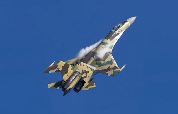 Истребитель, Сухой, Су-35БМ, '901'