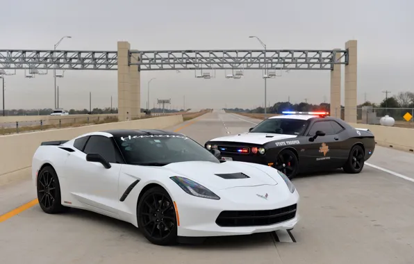 Chevrolet, Dodge, Corvette Stingray, police car, hennesey, Challenger SRT