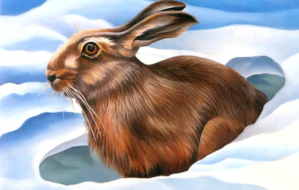 Картинка Зима, Кролик, Снег, Картина, Сбоку, Уши, Канадская художница, Laura Regan