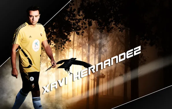Xavi, Hernandez, Xavi hernandez