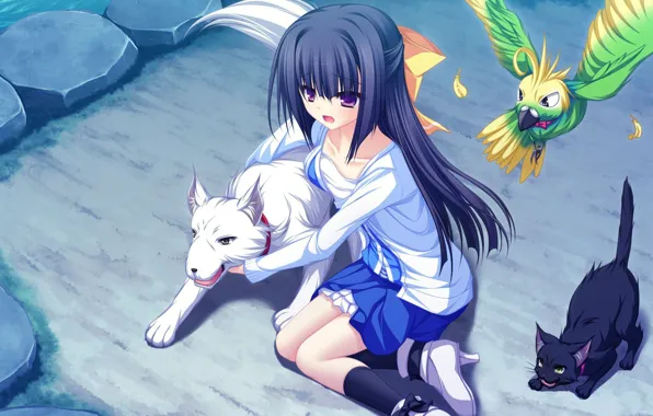 Аниме, арт, девочка, lunaris filia