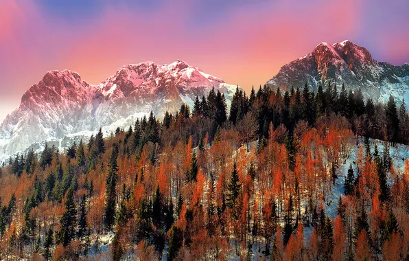 Картинка зима, снег, деревья, горы, Италия, Ломбардия