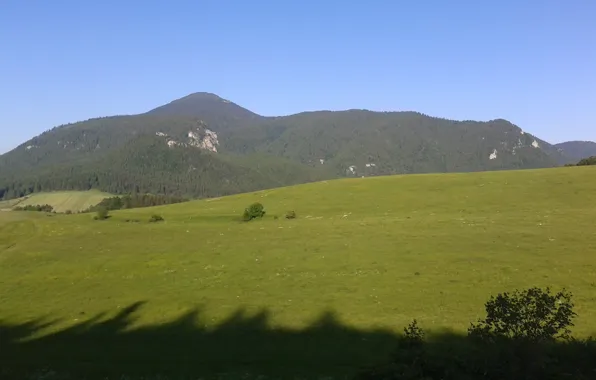 Green, girl, nature, beauty, mood, hill, cool, nice