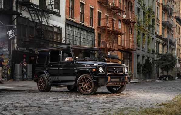 Mercedes-Benz, AMG, 2018, G-Class, Gelandewagen, Final Edition, G65
