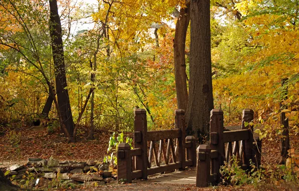 Картинка осень, пейзаж, мост, природа, парк, bridge, wood, resize
