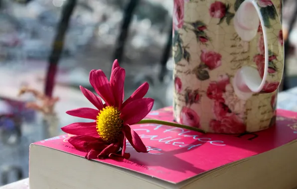 Цветок, фото, лепестки, кружка, чашка, книга, розовые