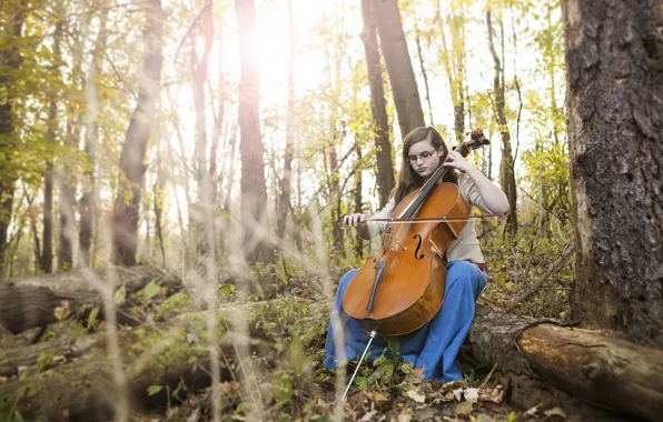 Картинка Fall, Autumn, Cello