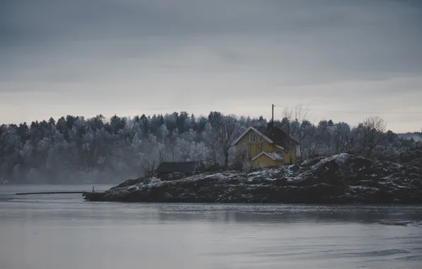 Картинка ice, house, storm, river, trees, nature, winter, lake