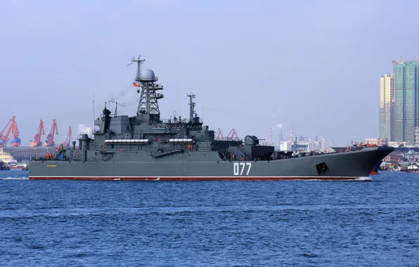 Корабль, большой, ВМФ, десантный, "Пересвет"