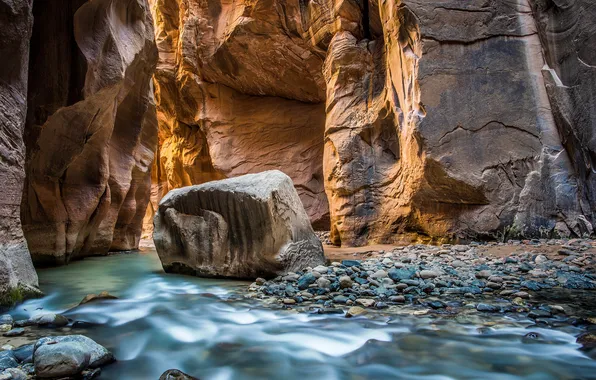 Река, камни, скалы, каньон, ущелье, Юта, США, Zion National Park