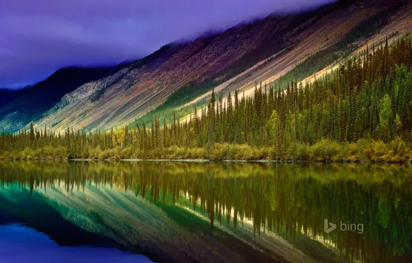Лес, деревья, горы, озеро, отражение, Канада, Nahanni National Park Reserve, Северо-Западные Территории