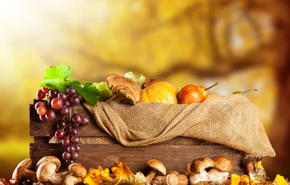 Картинка осень, грибы, урожай, виноград, ящик, мешковина