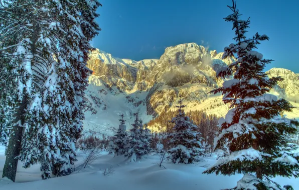 Зима, снег, деревья, горы, природа, ель, Австрия, Альпы
