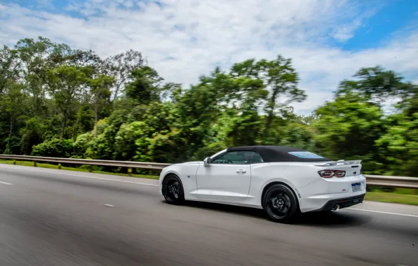 Картинка car, Chevrolet, Camaro, road, speed, Chevrolet Camaro SS Convertible