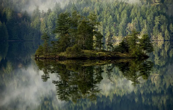 Картинка деревья, горы, туман, озеро, остров