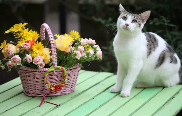 Картинка кошка, кот, букет