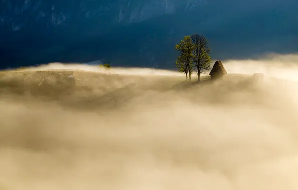 Картинка горы, природа, туман, поля, утро
