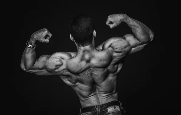 Поза, спина, muscle, мышцы, Back, бицепс, workout, weight