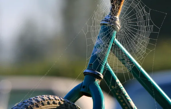 Картинка паутина, 158, Велосипед