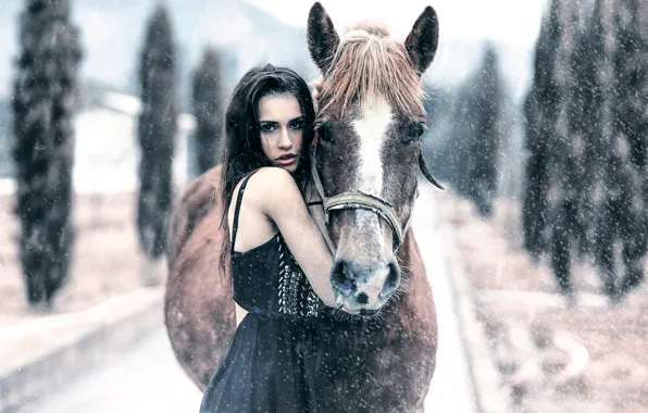 Картинка девушка, снег, лошадь, Alessandro Di Cicco, Keep me warm
