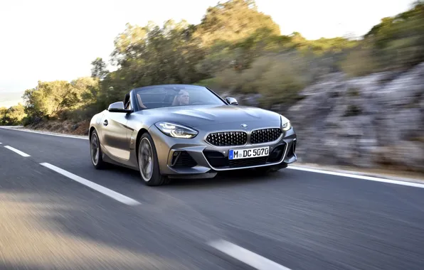 Картинка дорога, серый, растительность, скорость, BMW, родстер, обочина, BMW Z4