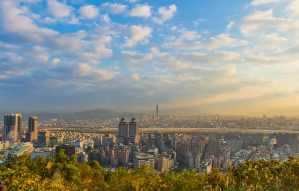 City, wallpaper, building